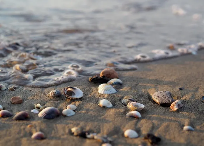 Your Perfect In - Beahost